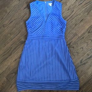 JCrew Factory dress